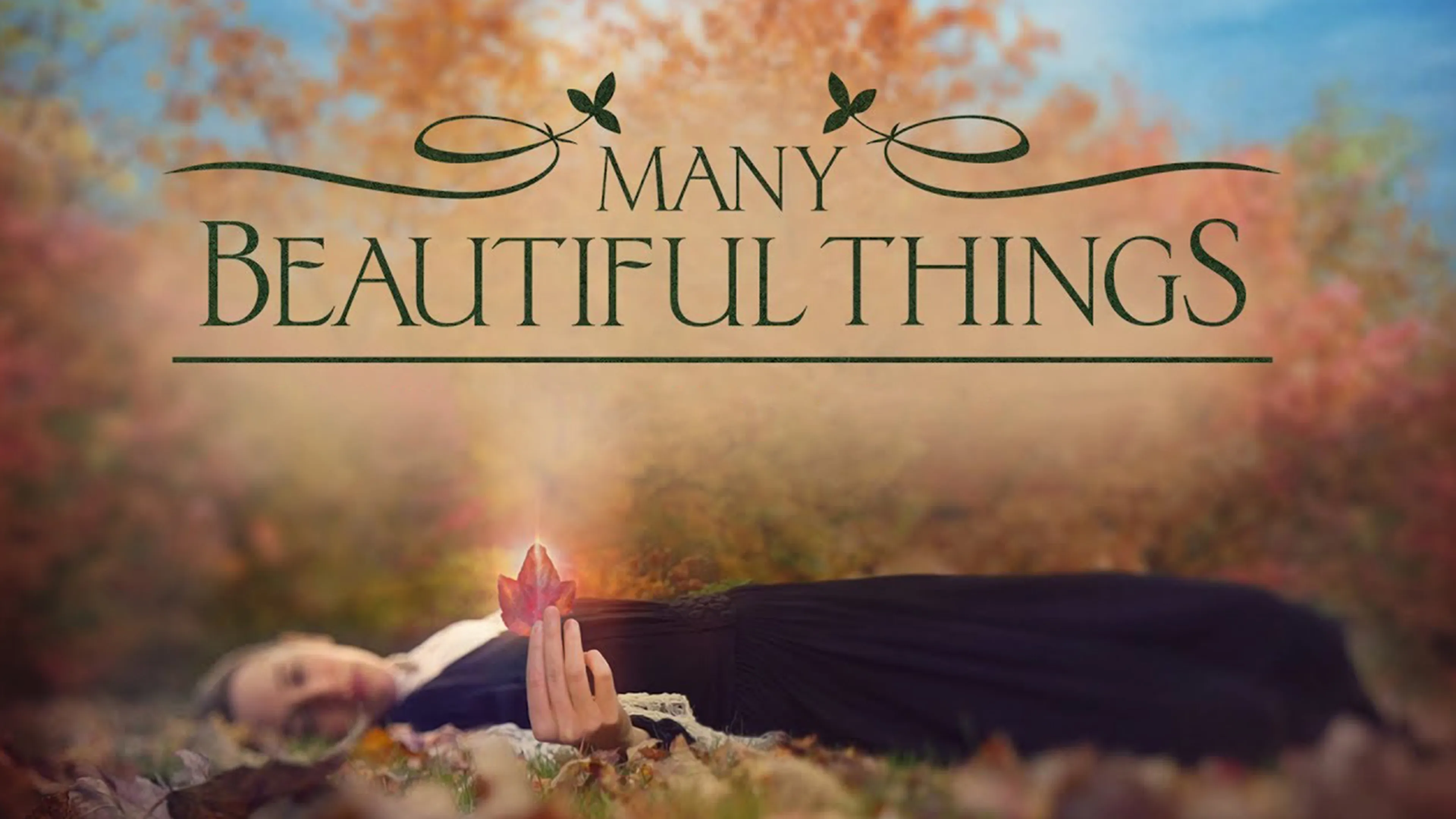Many Beautiful Things poster